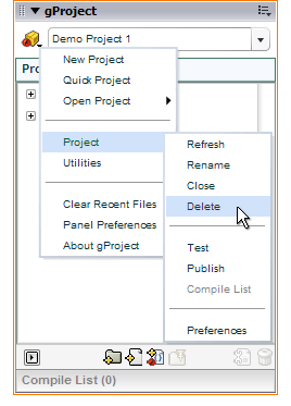 Delete Project Delete Project